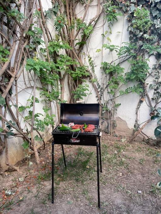 Etage De Villa Avec Jardin, Pres De L'Aireport Et Parking Prive Ариана Екстериор снимка
