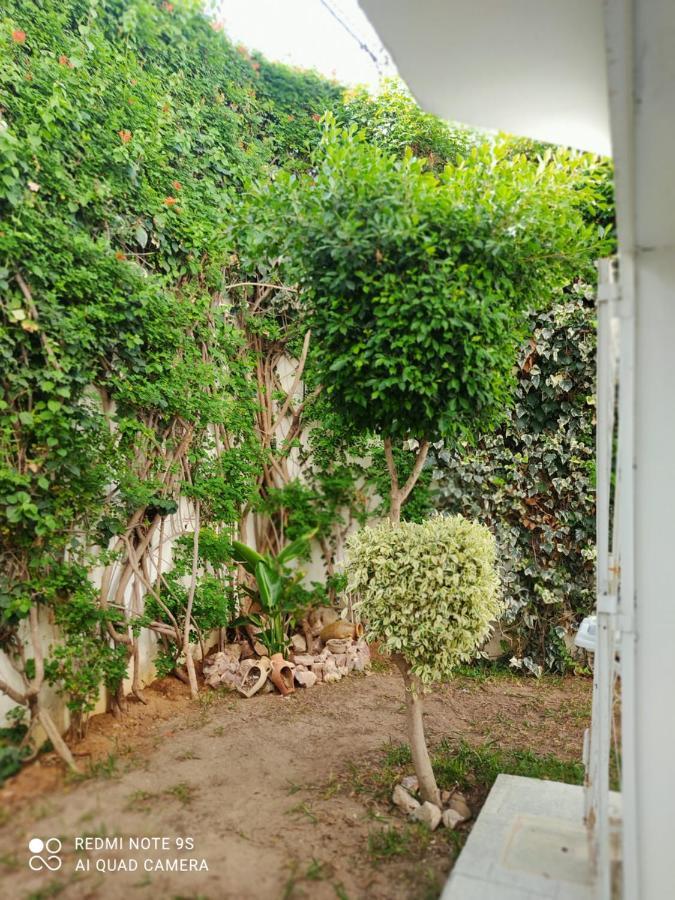 Etage De Villa Avec Jardin, Pres De L'Aireport Et Parking Prive Ариана Екстериор снимка