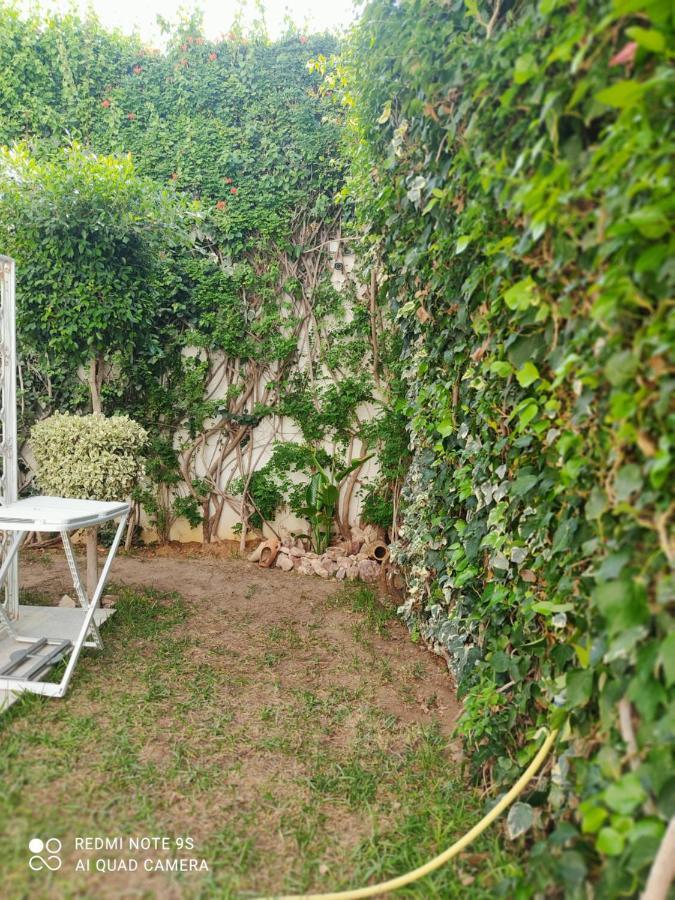 Etage De Villa Avec Jardin, Pres De L'Aireport Et Parking Prive Ариана Екстериор снимка