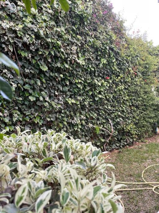 Etage De Villa Avec Jardin, Pres De L'Aireport Et Parking Prive Ариана Екстериор снимка