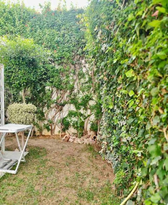 Etage De Villa Avec Jardin, Pres De L'Aireport Et Parking Prive Ариана Екстериор снимка