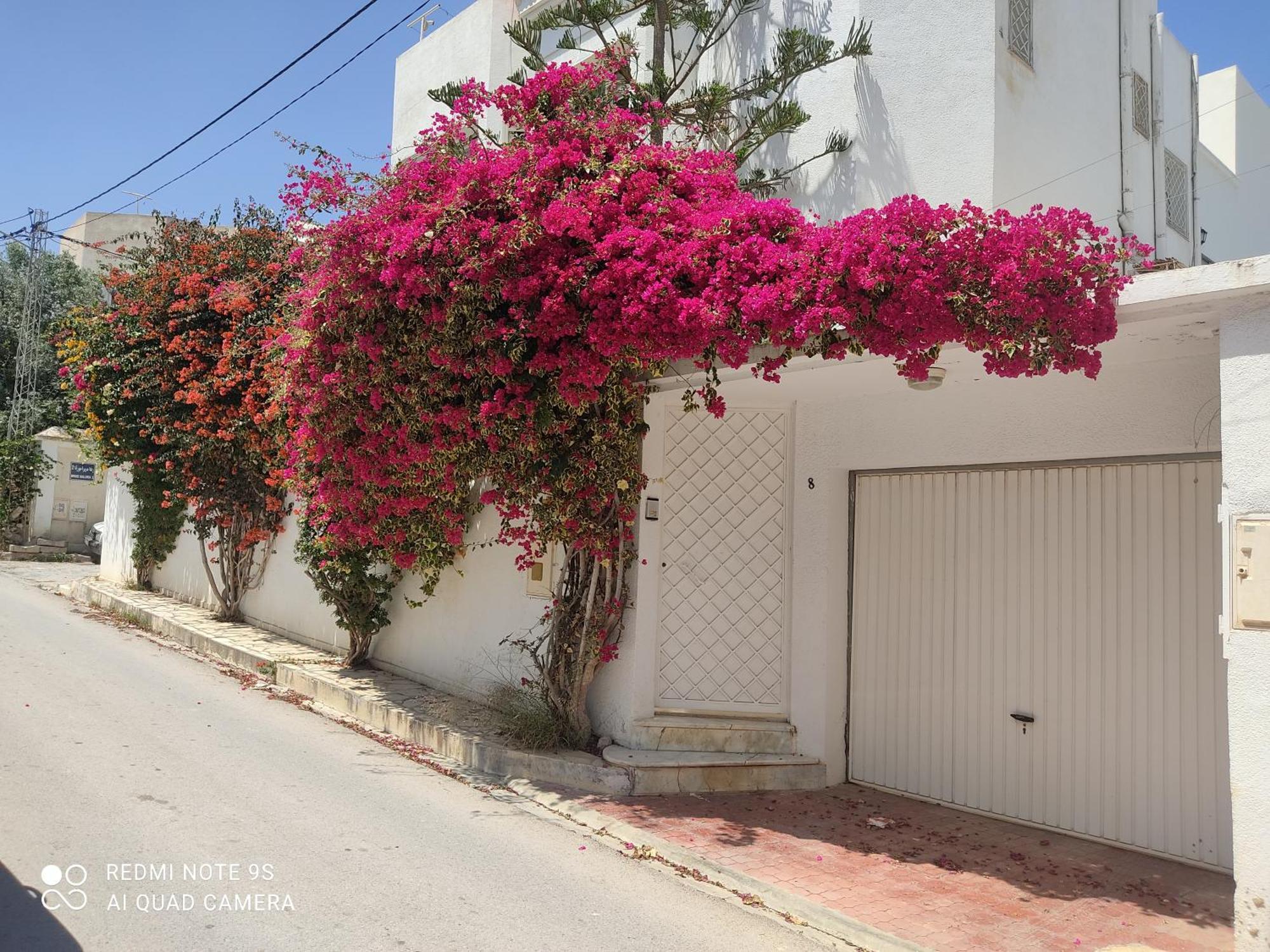 Etage De Villa Avec Jardin, Pres De L'Aireport Et Parking Prive Ариана Екстериор снимка