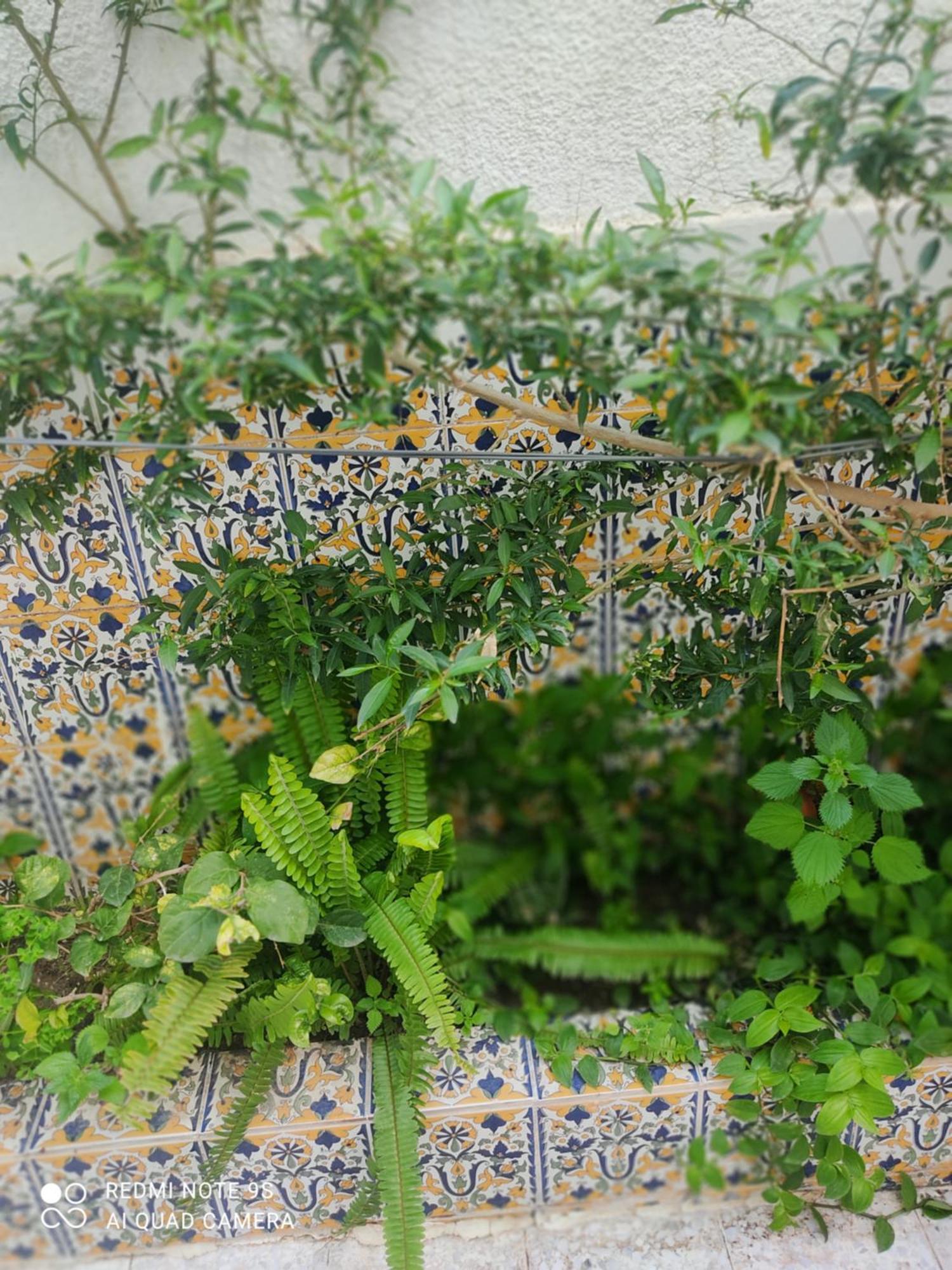 Etage De Villa Avec Jardin, Pres De L'Aireport Et Parking Prive Ариана Екстериор снимка